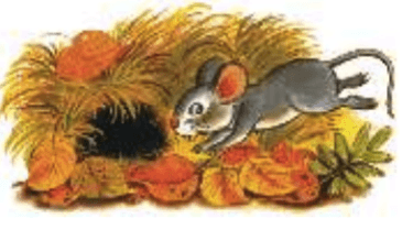 Задание рисунок 1