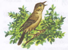 Задание рисунок 1