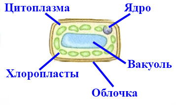 Решение рисунок 1
