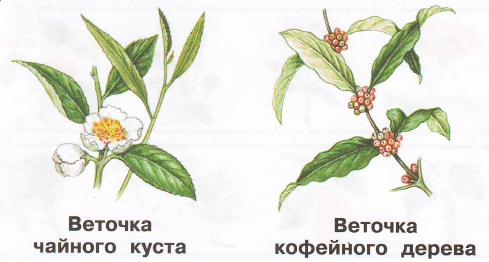 Задание рисунок 1
