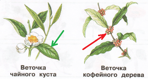Решение рисунок 1