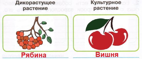 Решение рисунок 1