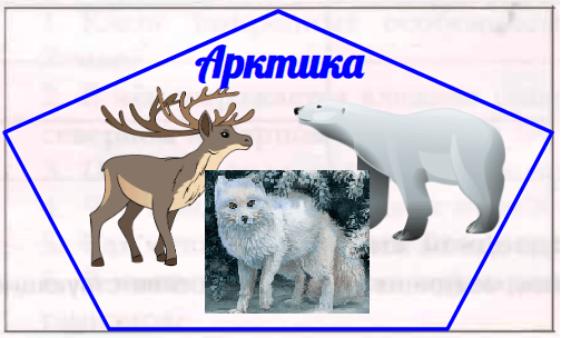 Решение рисунок 1